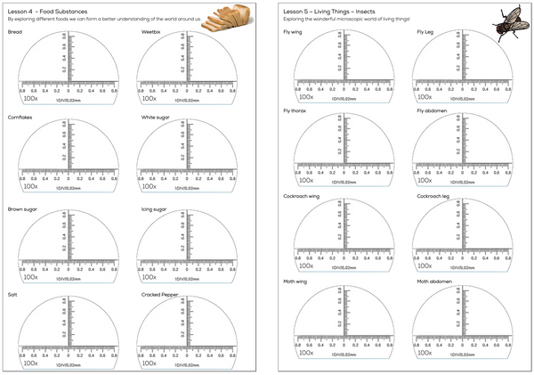 Pocket Microscope 100X Magnification with Downloadable Workbook