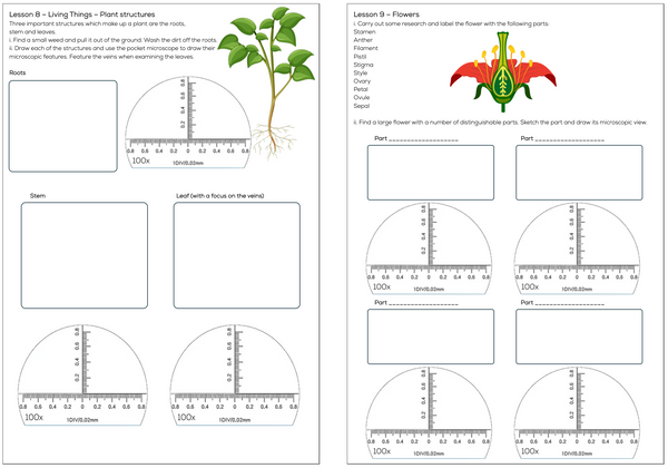 Pocket Microscope 100X Magnification with Downloadable Workbook