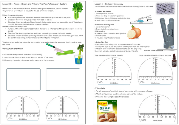 Pocket Microscope 100X Magnification with Downloadable Workbook