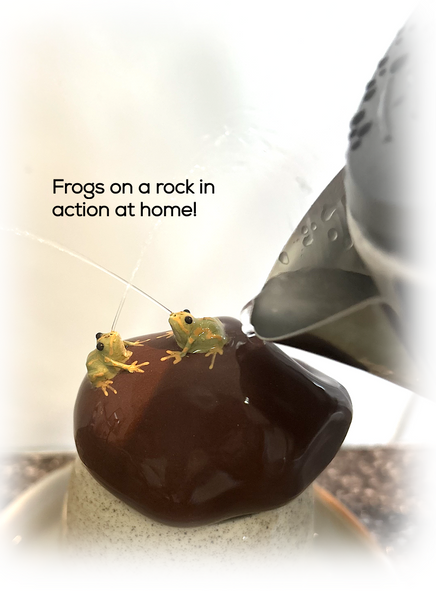 Frogs on a Rock